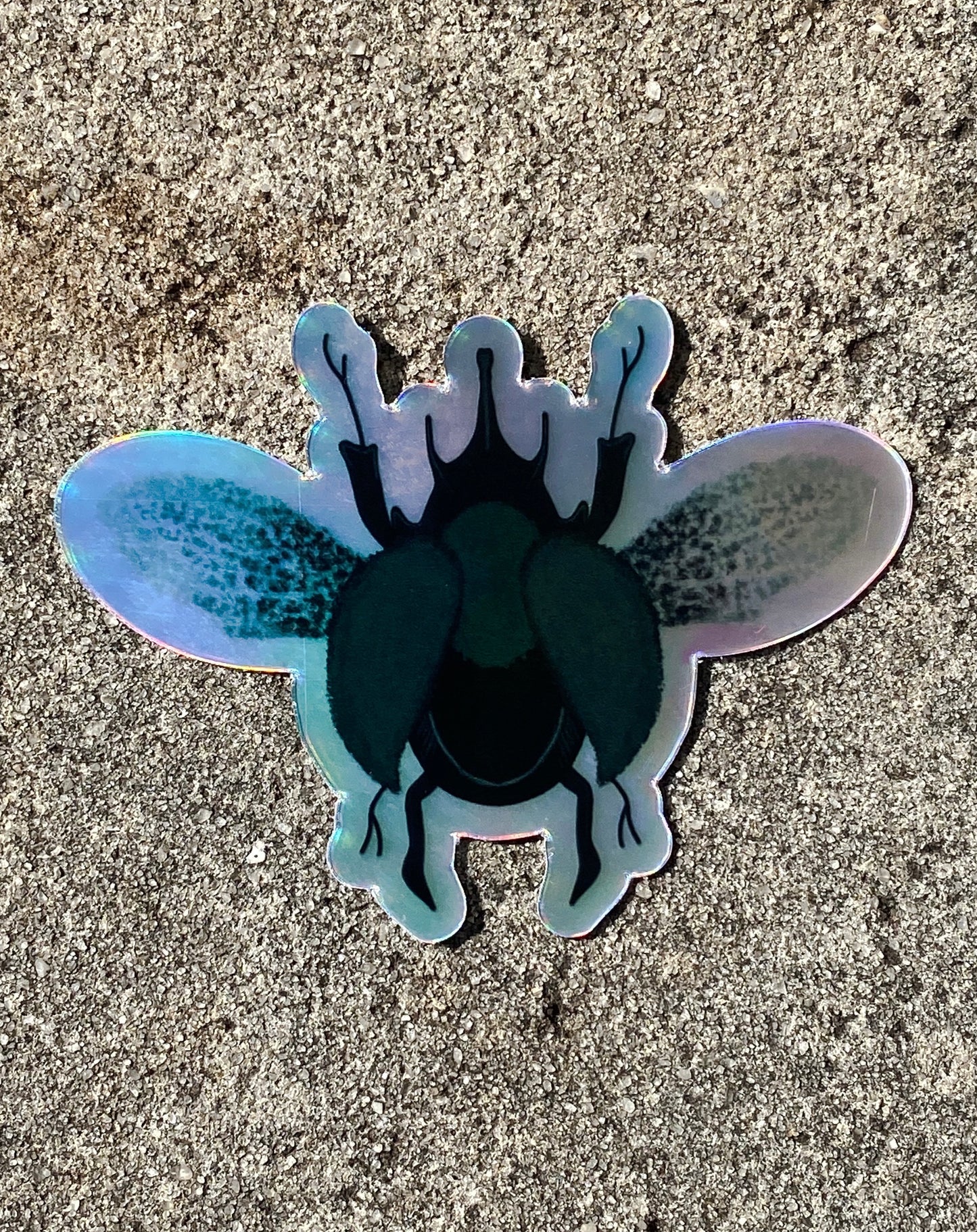 Spring Beetle Holographic Sticker